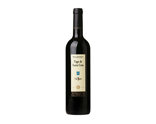 Viña-santa-cruz.png